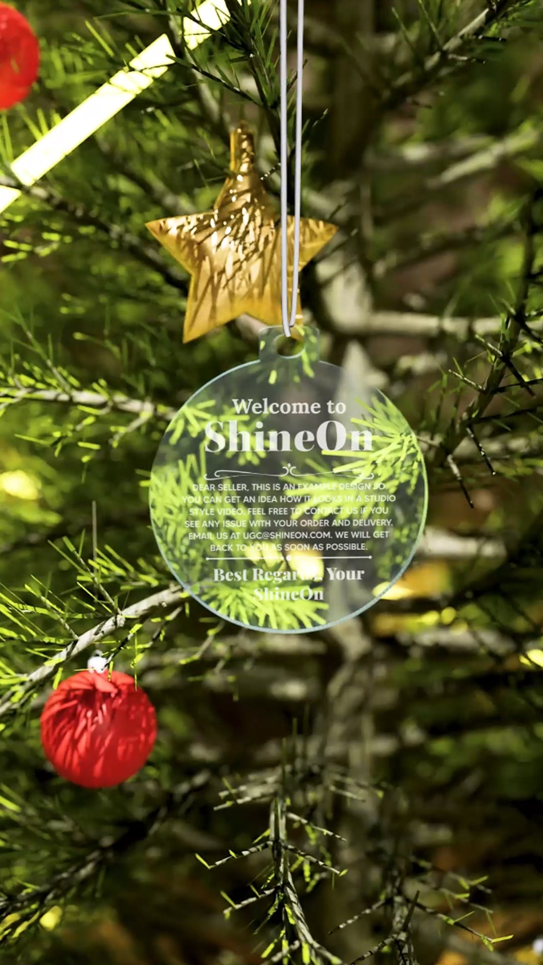 Acrylic Holiday Ornament Colored Print Studio Quality - Indoor Scene - 3D