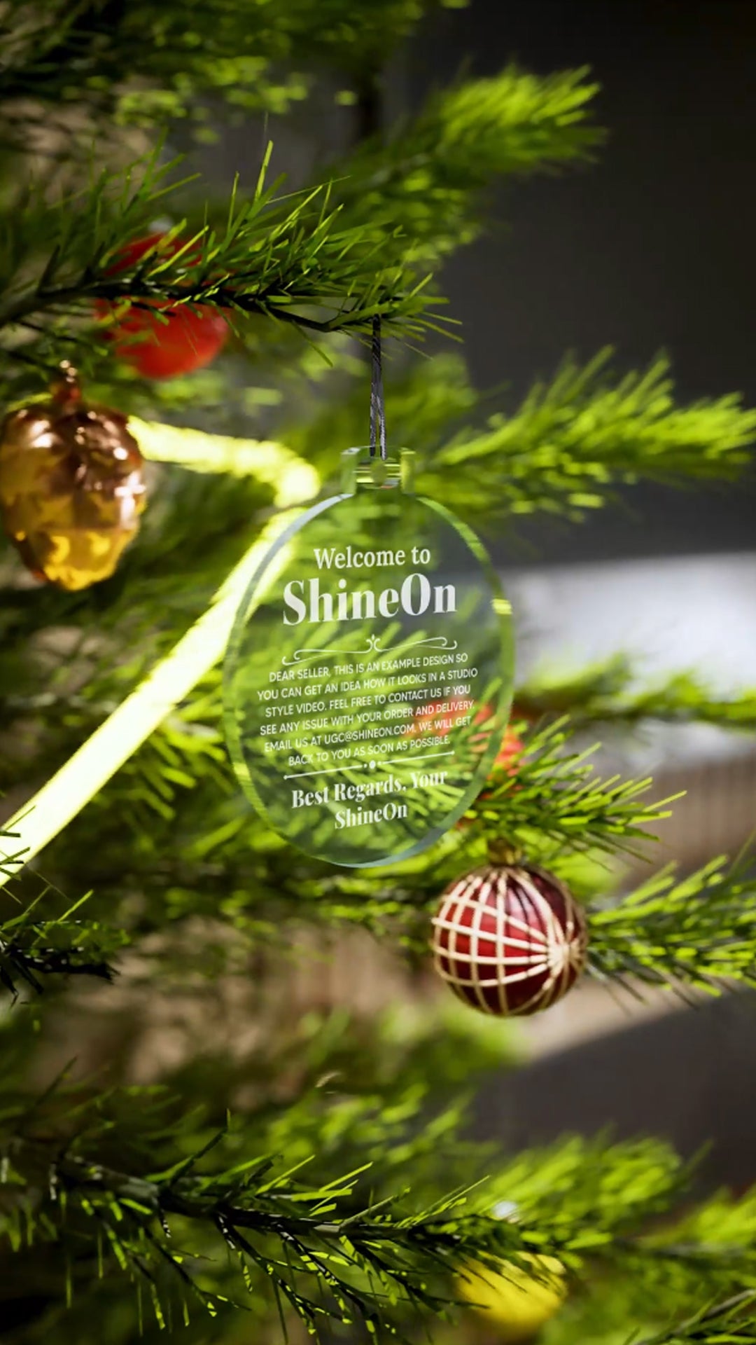 Acrylic Holiday Ornament Colored Print Studio Quality - Indoor Scene - 3D