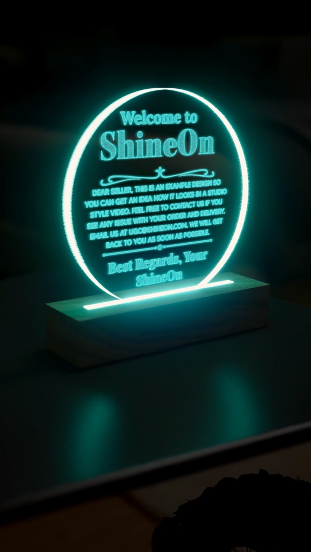 Acrylic Circle Plaque Engraved Studio Quality With Wooden Base LED RGB - Indoor Scene 2 - 3D