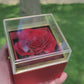 Rotating Rose Box With Love Knot Gold Necklace - UGC 6